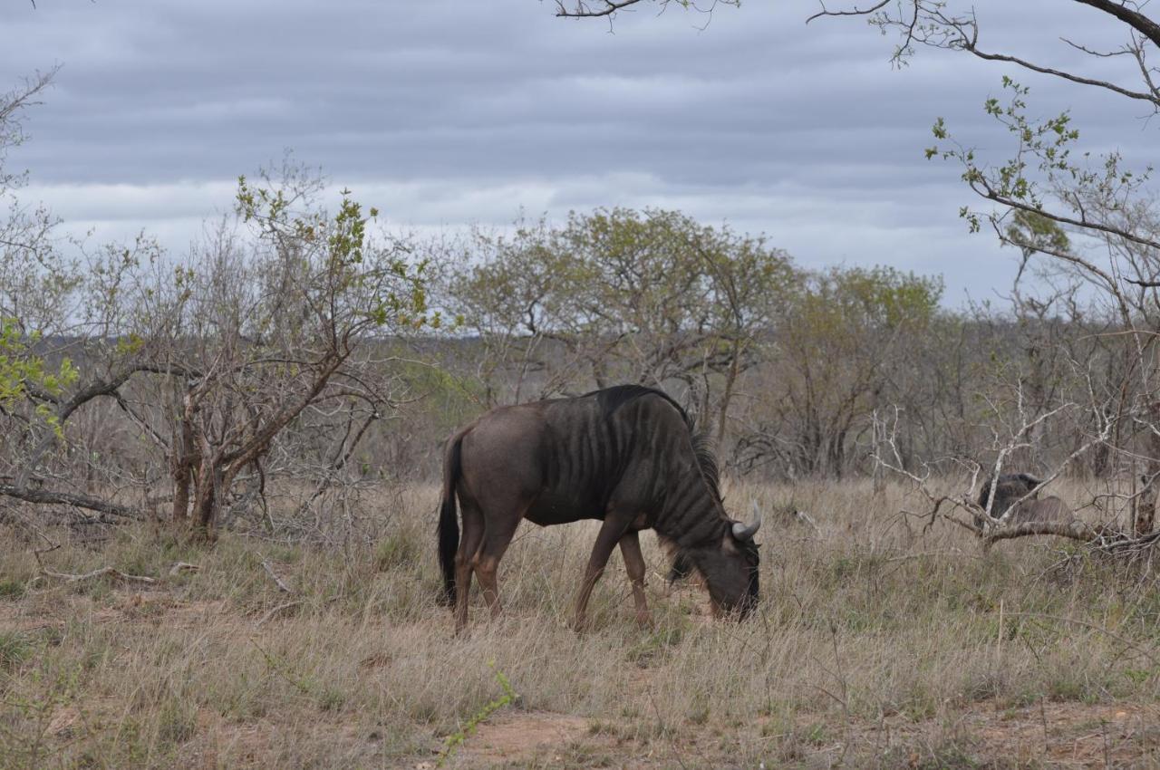 Hazyview Buffalo Game Lodge Екстериор снимка